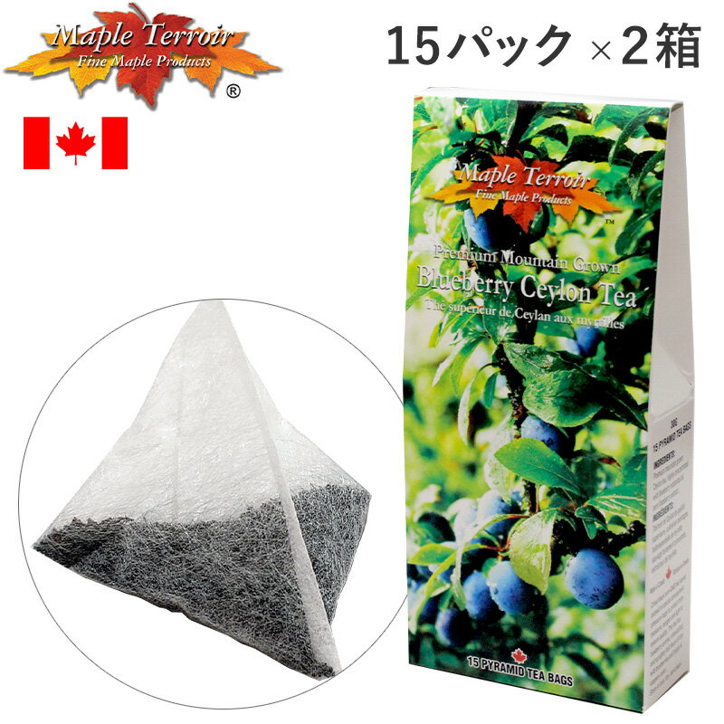 ブルーベリーティー 紅茶 ギフト カナダ土産 Maple Terroir 2箱セット 1袋2g×15パック Blueberry セイロン ティーバッグ テラー テロワール 海外 輸入食品 別送