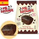 Mr.BROWNIE ミスターブラウニー チョコ