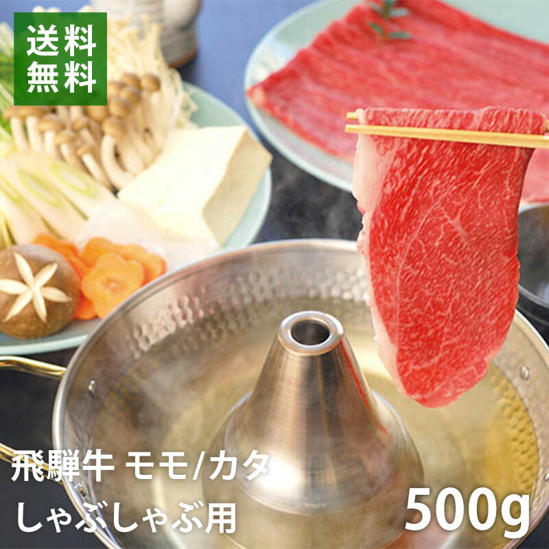 飛騨牛 しゃぶしゃぶ用牛肉 500g モモ/カタ ブランド牛 銘柄牛 送料無料 EM5-07 お歳暮 ギフト 贈答 祝い お礼の品 国産 冷凍 別送 直送