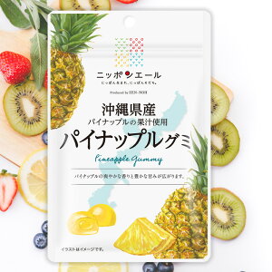 全農 ニッポンエール ご当地グミ 沖縄県産パイナップル ご当地 お菓子 フルーツグミ 果実グミ グルメ 名産 お土産 おみやげ