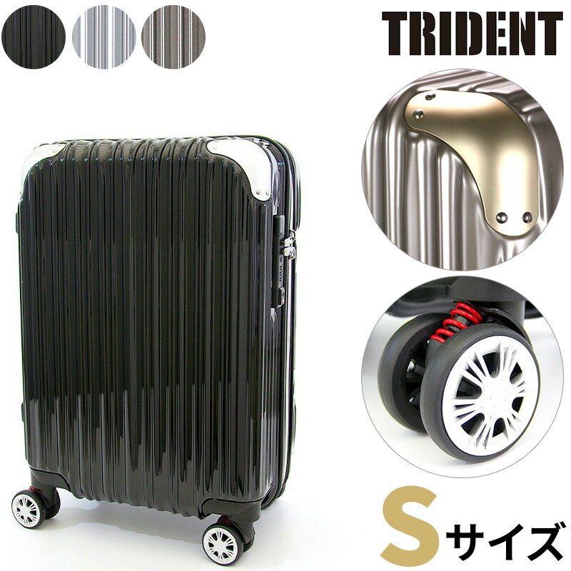 TRIDENT TRI2035K-49 ȥ饤ǥ ĥ  siffler ե 3 եʡ åѡ  ĥ ڥ󥷥 ֥륭㥹