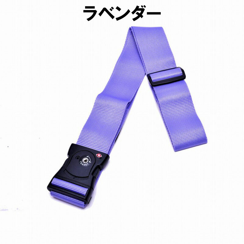 海外お土産 トコープラスのTSAロック スーツケースベルト キャリーケースベルト パレット 全12色 ワンタッチ 旅行 観光 トラベル 目印 鮮やか カラフル 海外 国内 コンサイス CONCISE｜アングル2