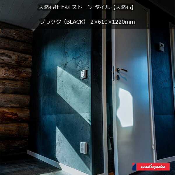 �֥�å���BLACK�� ŷ���� ŷ����[�ץ�ߥ���]��������ѥͥ� 2x610x1220mm ̵���� ���ȡ��󥿥��� �� ŷ�� �ѥͥ� ���å� �ں� ������ �ɺ�