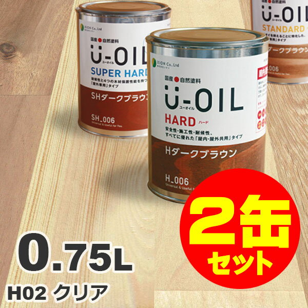 2ʃZbgIU-OILi[ICj ICXeC n[h H02 NA[0.75L~2] O ؕp Y Rh