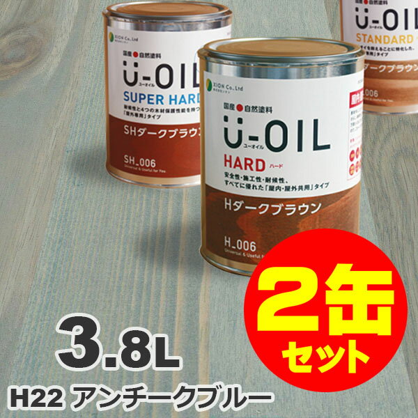 2̥åȳU-OILʥ桼 륹ƥ ϡ H22 ֥롼[3.8L2] ⳰   