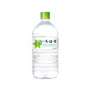 yH꒼zEÉE VR 1020ml PET 1P[X 12{ RJER[