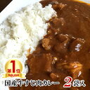 大感謝250,000食完売御礼★全国送料無料 今期500,000食完売予測！ 100％国産牛すじ＆たまねぎ使用 牛すじ肉カレー210g 中辛 2パック入り レトルトでは味わえない本格派カレー！ 非常食 保存食