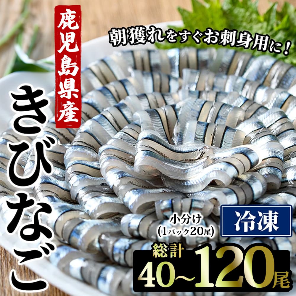 【クーポン利用で200〜5000円OFF】【敬老の日におすすめ】 天然 甑島産 キビナゴ刺身 20尾 2〜6袋 イワシ 青魚 高知 鹿児島県 敬老の日 職場 同僚 取引先 産地直送 お取り寄せ ギフト プレゼント 贈り物 送料無料