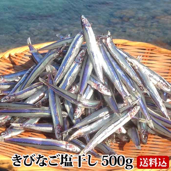 【送料無料】 ギフト 甑島のきびなご塩干し 500g 鹿児島産 国産 こしき島 こしきしま 塩干 天日干し 干物 おつまみ キビナゴ 冷凍 ギフト 贈答 上甑島 漁師の約束 贈り物 お土産 中元 お中元 …