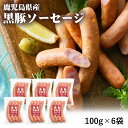 送料無料 鹿児島県産 黒豚ソーセージ 100g×6袋 鹿児島県 黒豚 ソーセージ 冷凍 BBQ バーベキュー 肉 肉加工品 豚肉 おつまみ 酒の肴 おかず オードブル お弁当 ホットドッグ(4)
