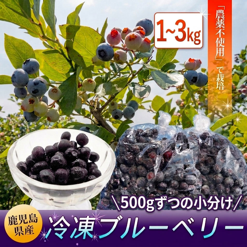 【スーパーセール限定価格！さらに数量限定クーポン発行中】 鹿児島県産 冷凍ブルーベリー 1kg 2kg 3kg 国産 農薬不使用 自家農園栽培 鹿児島県 敬老の日 職場 同僚 取引先 産地直送 お取り寄せ ギフト プレゼント 贈り物 送料無料