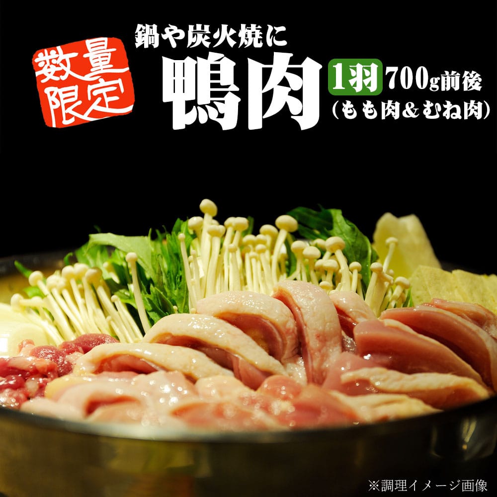 【クーポン利用で最大500円OFF】【お歳暮におすすめ】 国産 自然育ちの 鴨肉 (合鴨肉) ブロック1枚肉 600～700g前後 4～8人前 1羽 真空パック 鹿児島県 お歳暮 職場 同僚 取引先 産地直送 お取り寄せ ギフト プレゼント 贈り物 送料無料