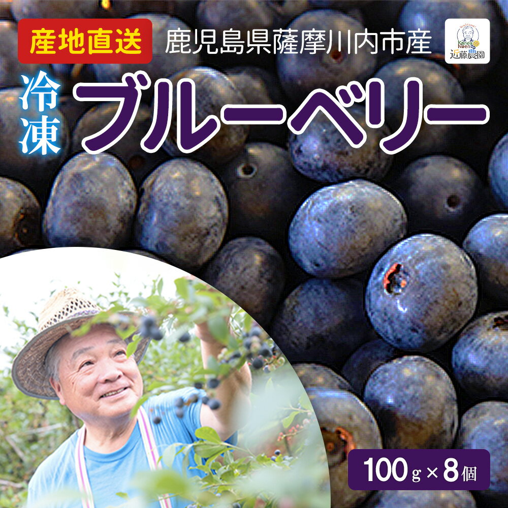 国産 鹿児島県産 冷凍ブルーベリー 100g × 8個セット 800g 近藤農園 産地直送 無農薬 小分け 大容量 ブルーベリー フ…