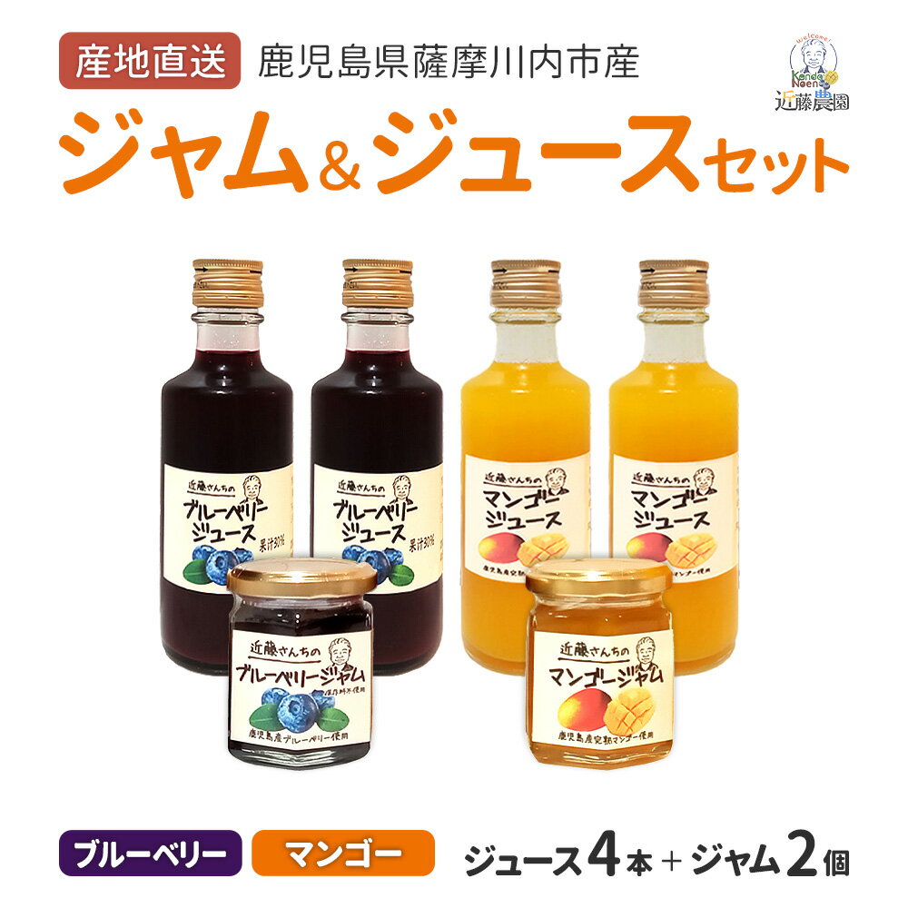 送料無料 鹿児島県産 ジャム・ジュースセット ( ブルーベリー・マンゴー ) ジャム 110g×各1個 ジュース 180g×各2本 計 6個セット 近藤農園 濃厚 フルーツ ジャム ジュース 詰め合わせ 果実 たっぷり 無添加 国産 近藤さんち 完熟マンゴー お取り寄せ グルメ お土産