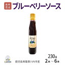 送料無料 鹿児島県産 ブルーベリーソース 230g 近藤農園 濃厚 ブルーベリー ソース 詰め合わせ フルーツソース ヨーグルト カクテル くだもの 無添加 国...