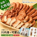 ギフト さつま揚げ 【送料無料】 4種19枚 4種14枚 さつまあげ詰合せ 「川内港」＋「可愛山」 鹿児島 せんだいつけあげ 贈り物 お土産 敬老の日 お歳暮 御歳暮 中元 お中元 御中元