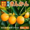送料無料 鹿児島県産 冷凍 金柑 500g入り × 4袋 種取り きんかん シャーベット フローズン フルーツ 種なし 皮ごと 氷結 栄養 果物 キンカン 鹿児...