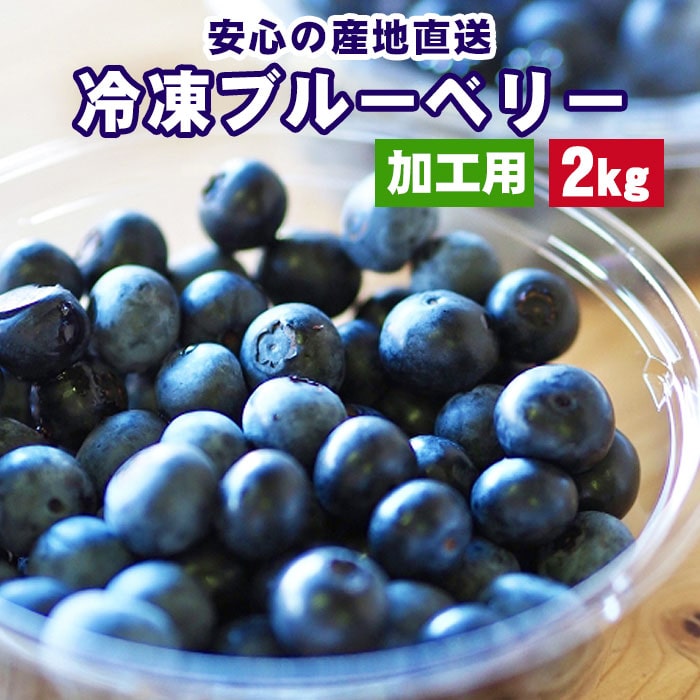 鹿児島県産 冷凍ブルーベリー B級品 2kg たっぷり 大容量 冷凍果物 くだもの フルーツ ブルーベリー お取り寄せ 業務…