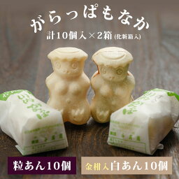 【送料無料】 ギフト 河童のふるさと川内 がらっぱもなか 10個入 × 2箱 最中 贈り物 鹿児島 和菓子 お歳暮 御歳暮 ホワイトデー お返し お菓子 ギフト スイーツ 母の日 中元 お中元 御中元