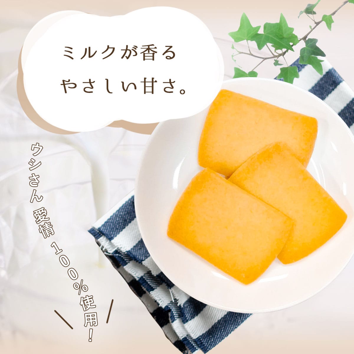送料無料 県酪農協牛乳クッキー ×4箱(48枚) お土産 ミルククッキー 鹿児島 洋菓子 ホワイトデー お返し お菓子 ギフト スイーツ