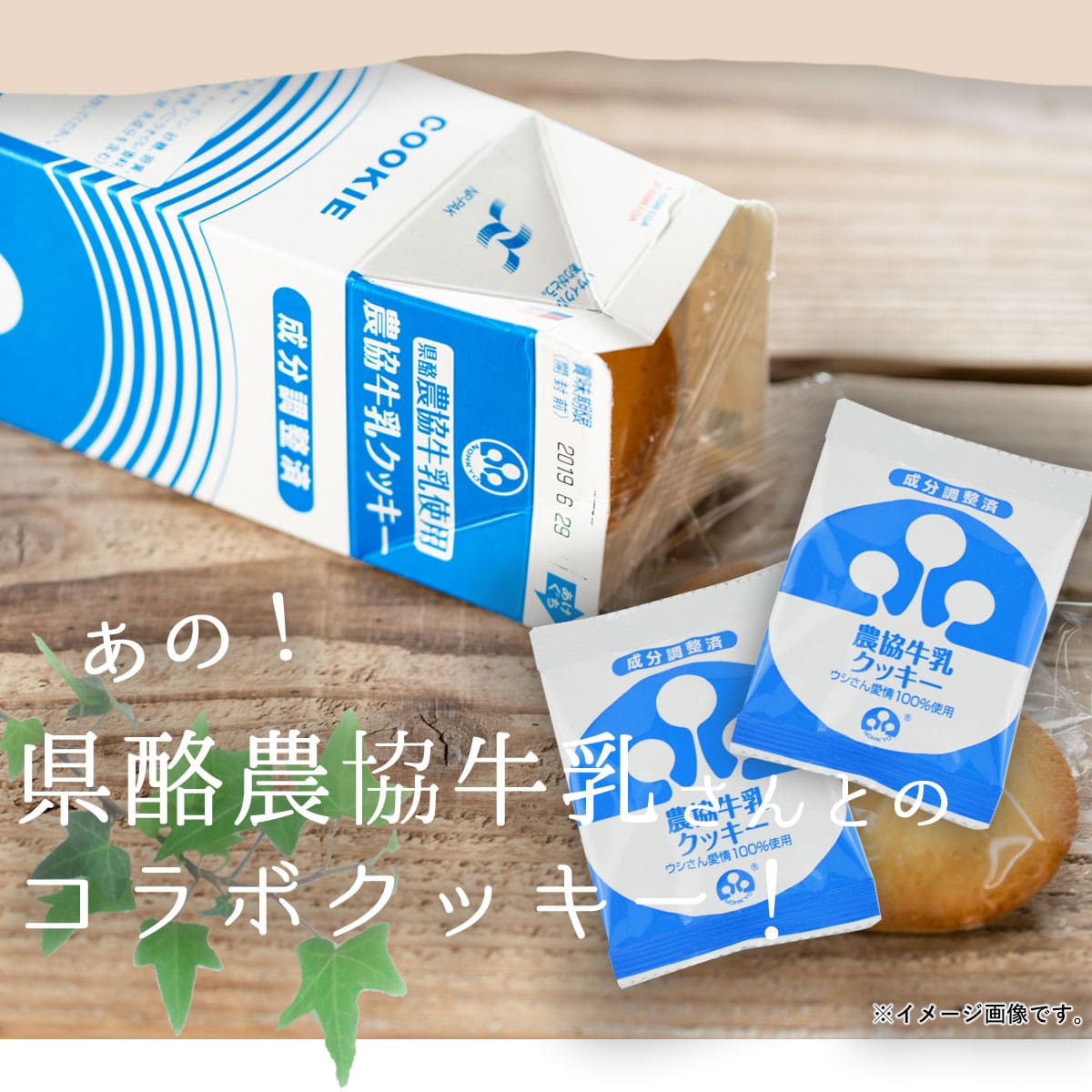 送料無料 県酪農協牛乳クッキー ×4箱(48枚) お土産 ミルククッキー 鹿児島 洋菓子 ホワイトデー お返し お菓子 ギフト スイーツ