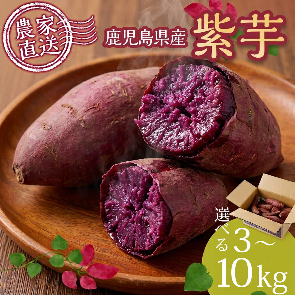 楽天市場】紫 さつまいも（総重量（野菜）5.0 ～ 5.9kg）の通販