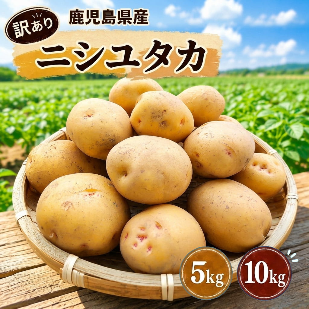 【クーポン利用で200〜5000円OFF】【敬老の日におすすめ】【早期予約！2026年12月〜順次発送】 訳あり 鹿児島県産 じゃがいも 5kg 10kg ジャガイモ 野菜 食品 産地直送 産直 鹿児島県 敬老の日 職場 同僚 取引先 産地直送 お取り寄せ ギフト プレゼント 贈り物 送料無料