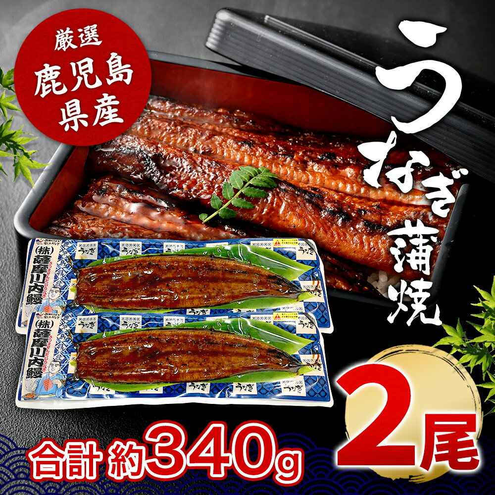 送料無料 鹿児島県産 うなぎ蒲焼き 約170g×2尾 (タレ・山椒付き) 特大 国産 九州産 鹿児島産 薩摩川内うなぎ 冷凍 鹿児島 誕生日 御歳暮 お祝い お礼 内祝い 退職祝い ギフト プレゼント グルメ 御中元 国内産 ウナギ 鰻 お中元 御中元 丑の日 土用丑の日 2023