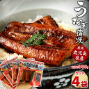 送料無料 国産 鹿児島県産 うなぎ蒲焼カット 約300g(約75g×4袋) 約半身 ハーフカット 薩摩川内うなぎ 蒲焼 うなぎ蒲焼 冷凍 鹿児島 国産 鰻 ウナ...