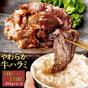 やわらか牛ハラミ(サガリ)肉 極旨秘伝醤油タレ漬け 300g 鹿児島県 牛ハラミ サガリ ジューシー 秘伝 タレ漬け 小分け お弁当 バーベキュー アウトドア