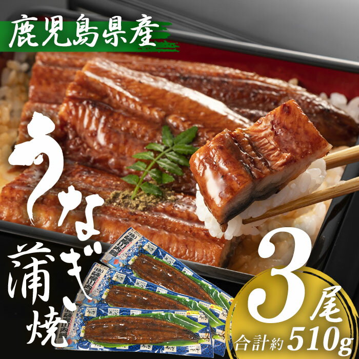 商品情報 商品名 鹿児島県産 うなぎ蒲焼き 約170g×3尾 (タレ・山椒付き) 原材料名 うなぎ(鹿児島産)、しょうゆ(小麦・大豆を含む)、みりん、砂糖、でん粉 内容量 約170g x 3尾 賞味期限 冷凍で50日 保存方法 冷凍 製造者 （株）薩摩川内鰻 鹿児島県薩摩川内市 商品説明 鹿児島県産の鰻を皮はパリッと身はふっくらに秘伝のタレで香ばしく焼き上げました。 焼きたての美味しさをそのまま真空にした食べごたえのある「うなぎ蒲焼」。 是非お召し上がりください。 発送元 こちらの商品は、駅市 薩摩川内から発送させていただきます。 配送 冷凍【国産】うなぎ蒲焼ラインナップ うなぎ蒲焼(2尾) うなぎ蒲焼(3尾) うなぎ蒲焼(5尾) うなぎ蒲焼カット(2袋) うなぎ蒲焼カット(3袋) うなぎ蒲焼カット(4袋) うなぎ蒲焼きざみ(2袋) うなぎ蒲焼きざみ(3袋) うなぎ蒲焼 3種セット うなぎめしの素(2袋) うなぎめしの素(3袋) 薩摩川内Webショップ薩摩國〜さつまのくに〜