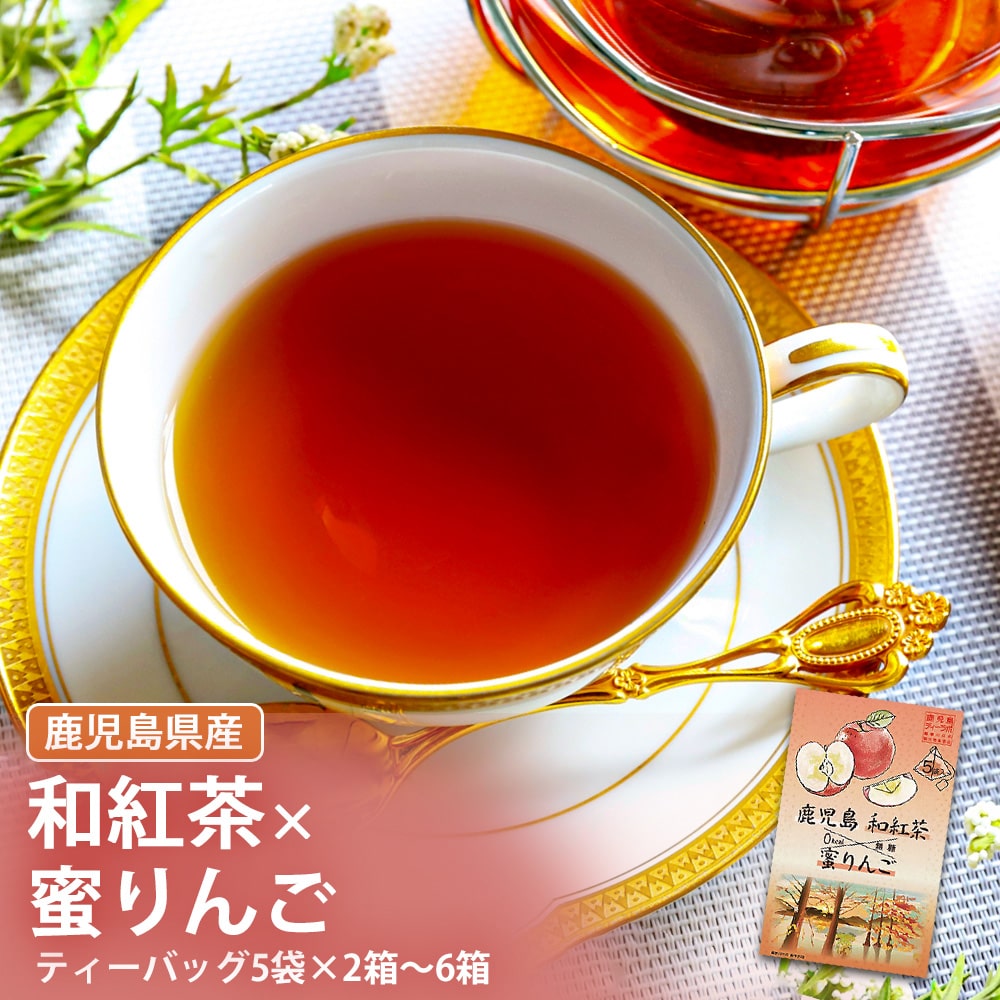 ̵ 縩 ̪¹ 1Ȣ5 ե졼Сƥ   ̵ Υ󥫥꡼ 0kcal  äפ  ƥХå ...