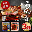 送料無料 国産 うなぎ蒲焼き 3種 詰め合わせ ( 蒲焼き ハーフサイズ きざみうなぎ ) 蒲焼きセット 特大サイズ 鹿児島県産 鹿児島 鰻 うなぎ ウナギ ひ...
