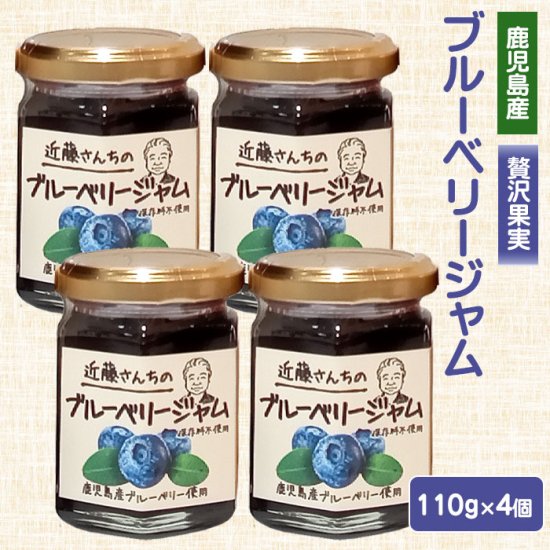 ̵ ƣΥ֥롼٥꡼ 110g  4  ڻ 渵 渵 渵