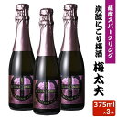 送料無料 薩摩スパークリング梅酒 375ml 8度 × 3本セット リキュール 贈り物 お土産 炭酸にごり梅酒梅太夫 鹿児島