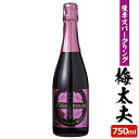 送料無料 薩摩スパークリング梅酒 750ml 8度 リキュール 贈り物 お土産 炭酸にごり梅酒梅太夫 鹿児島