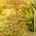 新潟の心温まるおもてなし【米と餅セット】新之助 新潟 伝統 贈り物に最適 お土産 お中元 セット 臼 杵 御中元 御歳暮 贈答 贈り物 プレゼント ギフト お祝い もち 餅つき 手土産 プレゼント ギフト お歳暮 こがねもち 熨斗 無添加 ※ふるさと 納税ではありません 2