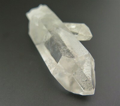 コロンビア産レムリアンシード