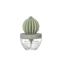 ダルトン DULTON カクタス フレグランス ディフューザー C CACTUS FRAGRANCE DIFFUSER C W.FLOWER G675-824C-WF