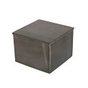 ダルトン DULTON メタル スクエア ボックス L METAL SQUARE BOX L H19-0036L