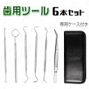 br37#6本セット 歯石取り器具 日本国内当日発送 ステンレス製 自宅用 デンタルツール 歯間 ヤニ 歯垢取り しこう取りスケーラー 歯用ツール 歯石削り 専...