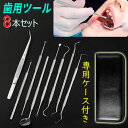 br75#歯石取り器具 8本セット 歯石削り デンタルケア ツール ステンレス製 歯垢 自宅用 スケーラー 口臭 予防 歯石を自分で取る 歯用ツール 口内ケア ...