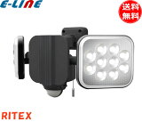 ॵ RITEX 饤ƥå LED-AC2024 12Wx2 ե꡼ LED󥵡饤 뤵2,000롼 ϥ400W ŵ1/14̵