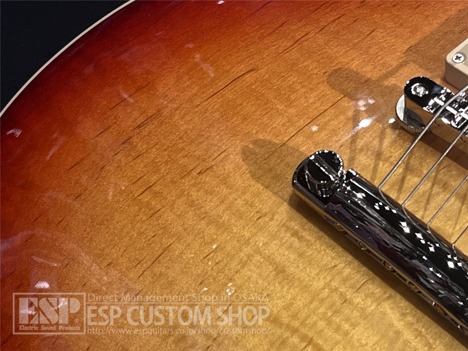 【即納可能】Gibson(ギブソン) Les Paul Standard '50s / Heritage Cherry Sunburs...