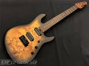 Sterling by MUSIC MAN(スターリンバイミュージックマン) RICHARDSON7 / Natural Poplar Burl Burst