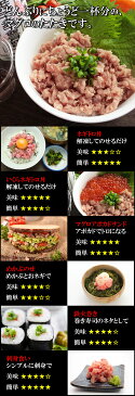 【アウトレット価格】(ネギトロ お試し1人前食べきりサイズ 100g) 寿司はもちろん丼、アボカドと和えるなど色々な用途にお使いいただけます (ねぎとろ) 冷凍