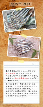 (全品5%還元) 【アウトレット価格】 魚屋がガチで作った きびなご串干し 1串 冷凍
