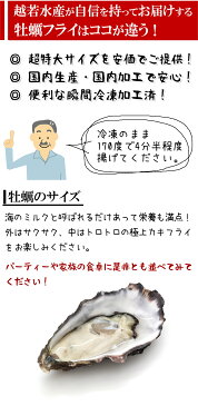 （大粒 広島産カキフライがどどーんと500g入） 新鮮なプリプリの牡蠣をあとは揚げるだけまで加工してあります 簡単に本格居酒屋味☆（冷凍）