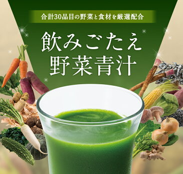 飲みごたえ野菜青汁(30包)【送料無料・代引き手数料無料】30品目の国産野菜・食材をバランス良く配合☆ローヤルゼリー・ヒアルロン酸・熊笹もおいしくプラス【エバーライフ】あおじる ( 青汁 国産 日本製 野菜青汁 プレゼント 食物繊維 抹茶)