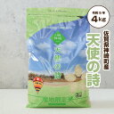 【令和5年産】 お米 2kg 送料無料 特Aランク 「 天使の詩 2kg x 2袋 産地限定米 佐賀県神埼町産 」 佐賀県食糧株式会社限定ブランド